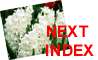 To Next index